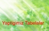 Yaptigimiz Tabelalar