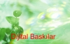 Dijital Baskılar